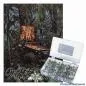 Preview: Jungle Lord Sicherungssortiment