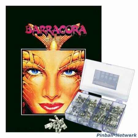 Barracora Sicherungssortiment