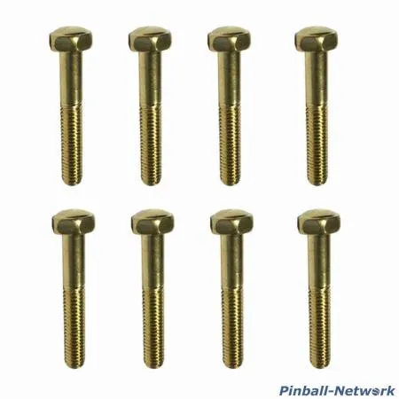 Flipperbeinschraube gold, 8er Set