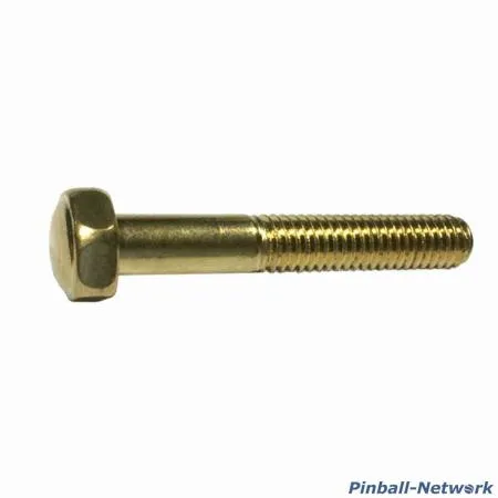 Flipperbeinschraube gold