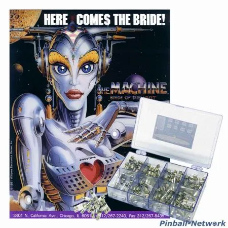 The Machine: Bride of Pinbot Sicherungssortiment