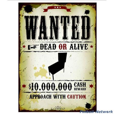 WANTED Pinball Banner