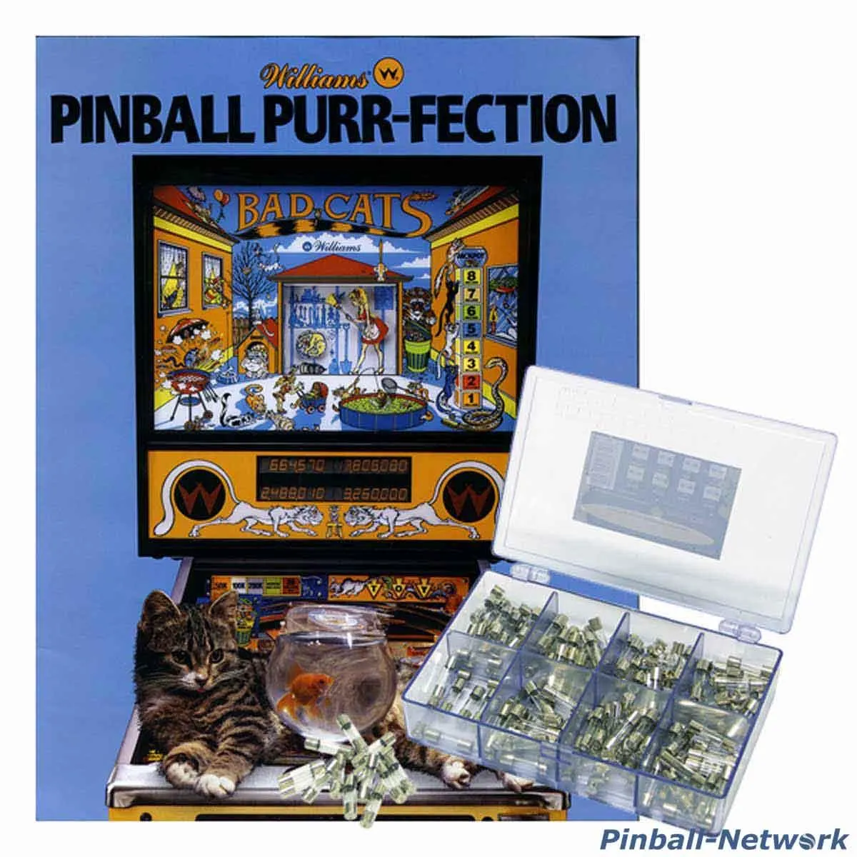 Bad Cats Sicherungssortiment