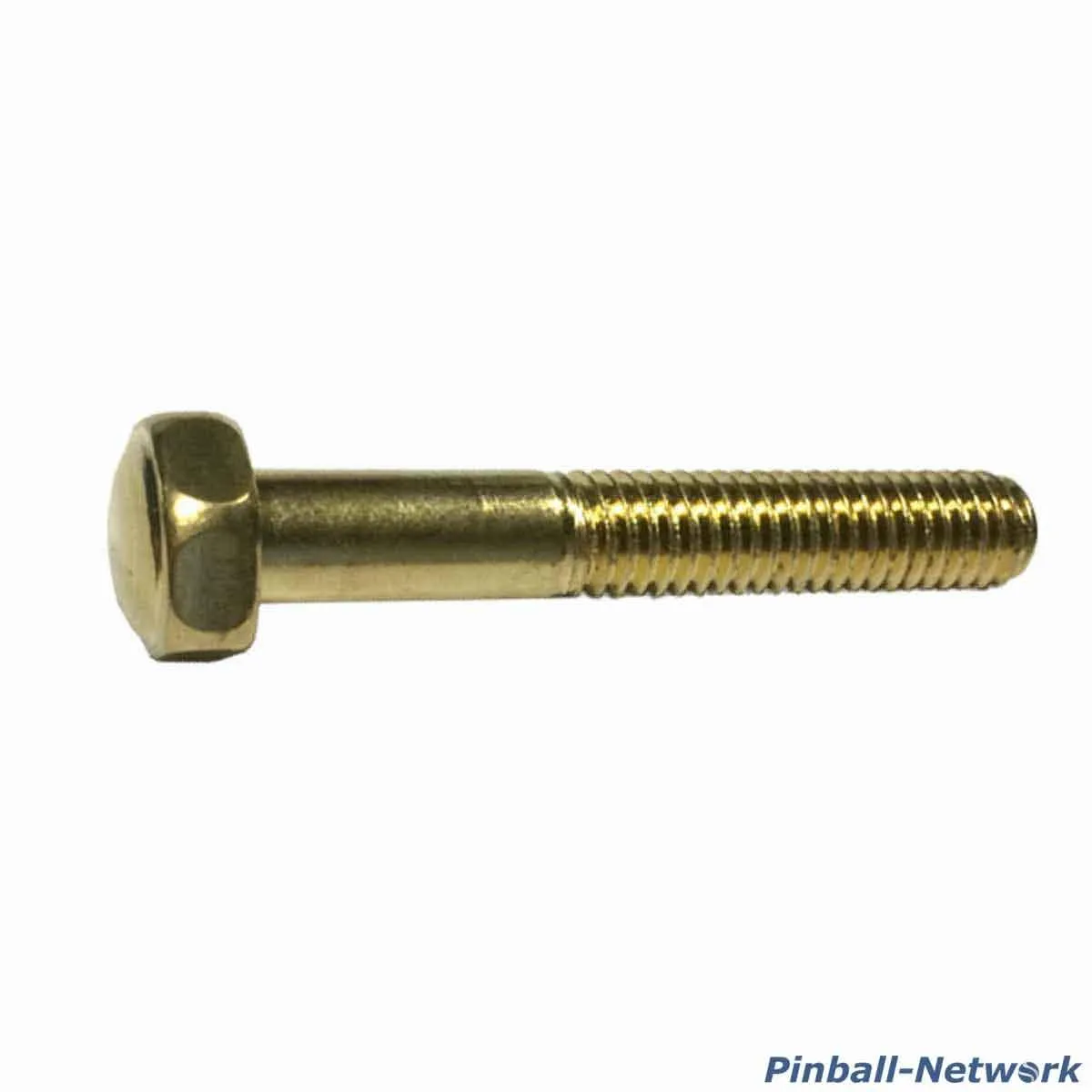 Flipperbeinschraube gold