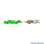Creature From The Black Lagoon Rampen Decal