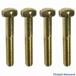 Flipperbeinschraube gold, 4er Set