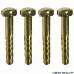 Flipperbeinschraube gold, 4er Set