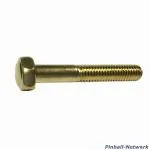 Flipperbeinschraube gold