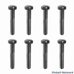 Flipperbeinschraube silber, 8er Set