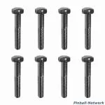 Flipperbeinschraube silber, 8er Set