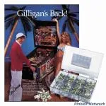 Gilligans Island Sicherungssortiment