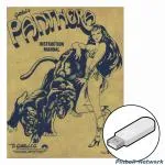 Panthera Instruction Manual