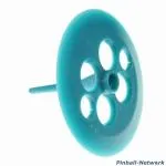 Schlagturmpilz teal
