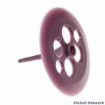 Schlagturmpilz, violett